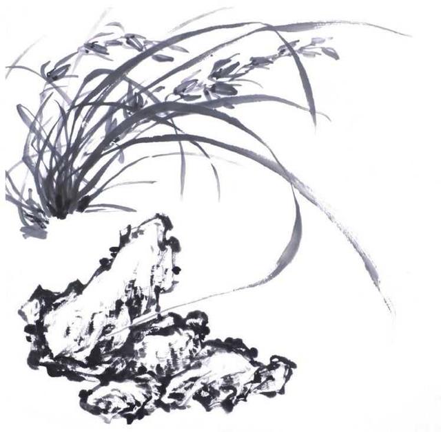 兰花的基本画法步骤教程