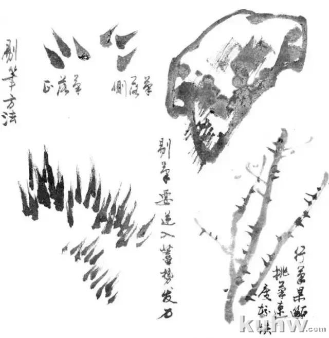 写意花鸟画用笔和用墨技法,值得收藏学习