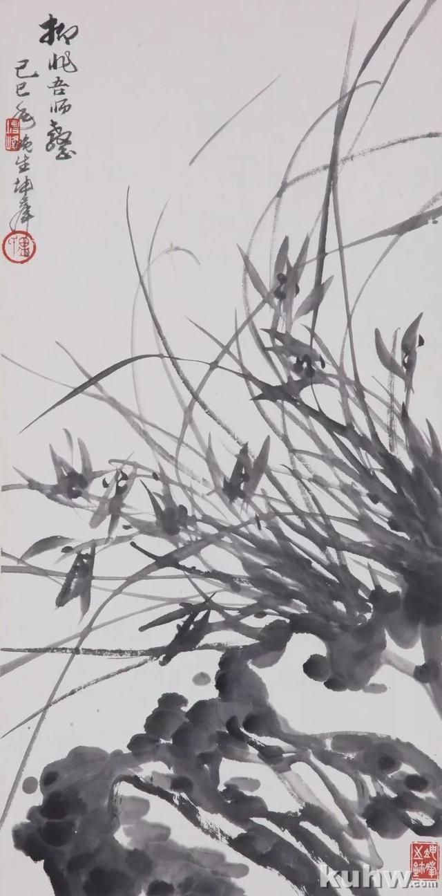 如何画好兰花？