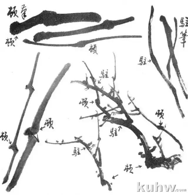 写意花鸟画用笔和用墨技法,值得收藏学习