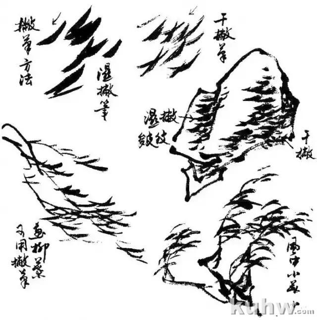 写意花鸟画用笔和用墨技法,值得收藏学习