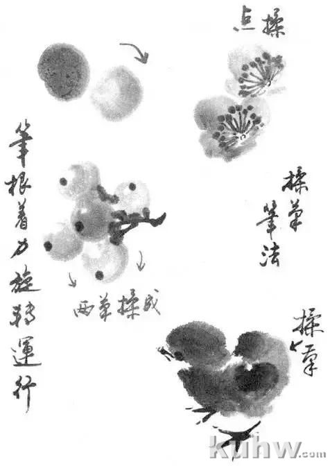 写意花鸟画用笔和用墨技法，值得收藏学习