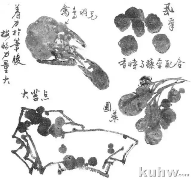 写意花鸟画用笔和用墨技法,值得收藏学习
