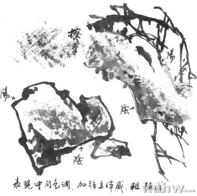写意花鸟画用笔和用墨技法,值得收藏学习
