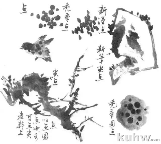 写意花鸟画用笔和用墨技法,值得收藏学习