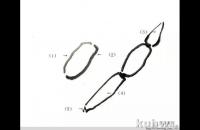 莲藕的写意画法