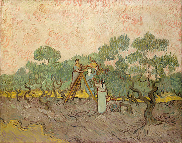 文森特·梵高（Vincent van Gogh）《橄榄采摘》高清下载