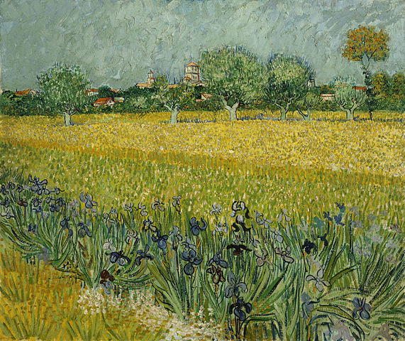 文森特·梵高（Vincent van Gogh）《前景中有鸢尾花的阿尔勒景色》高清下载