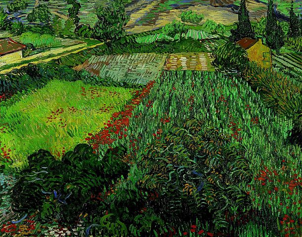 文森特·梵高（Vincent van Gogh）-《罂粟花田》高清下载