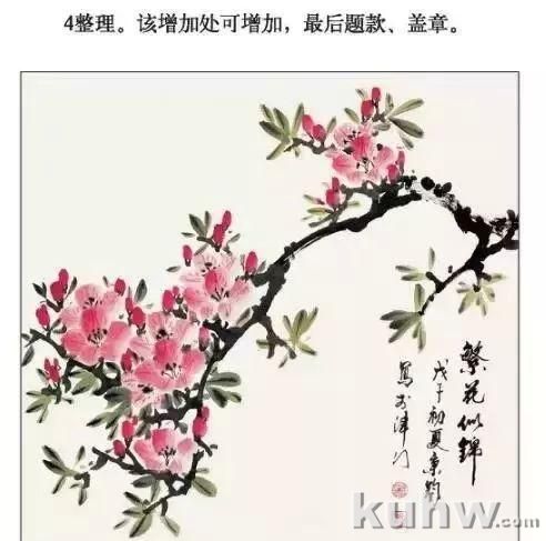海棠花、杜鹃花的画法和上色