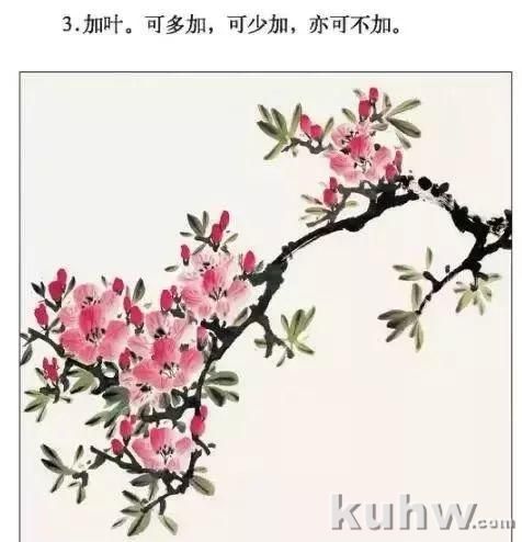 海棠花、杜鹃花的画法和上色