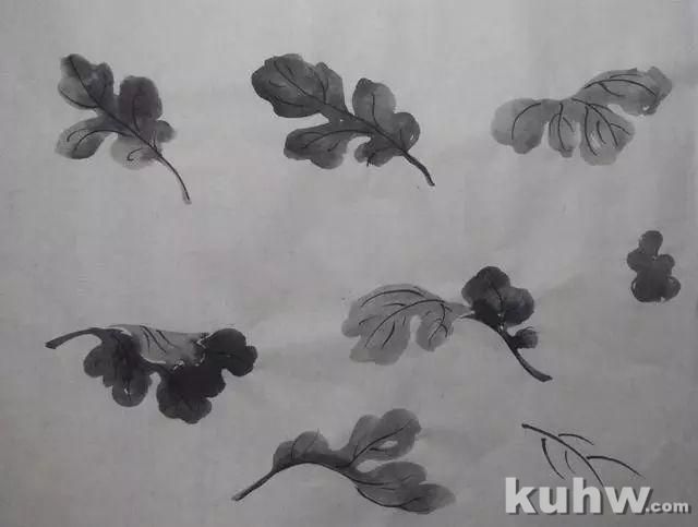 菊花叶子的画法与整幅示范