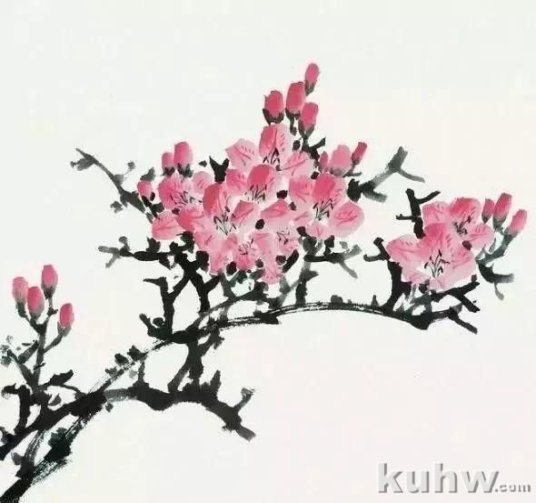 海棠花、杜鹃花的画法和上色