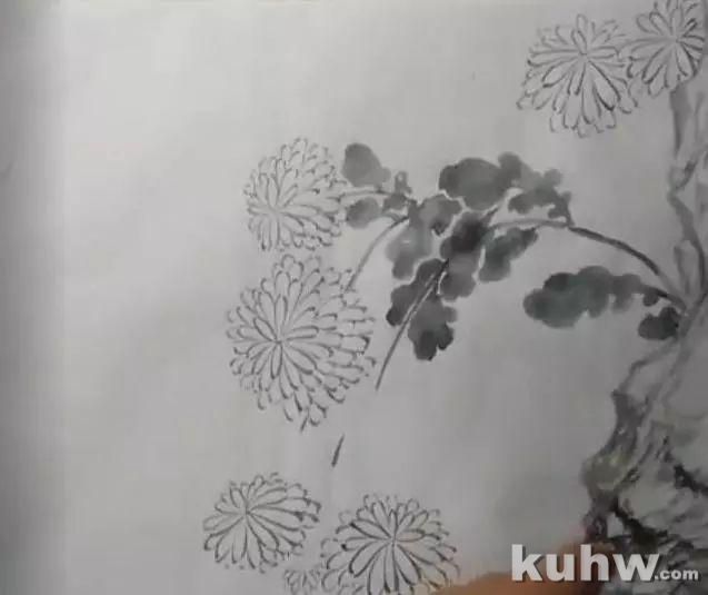 菊花叶子的画法与整幅示范