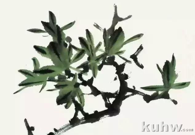 海棠花、杜鹃花的画法和上色