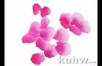 海棠花、杜鹃花的画法和上色