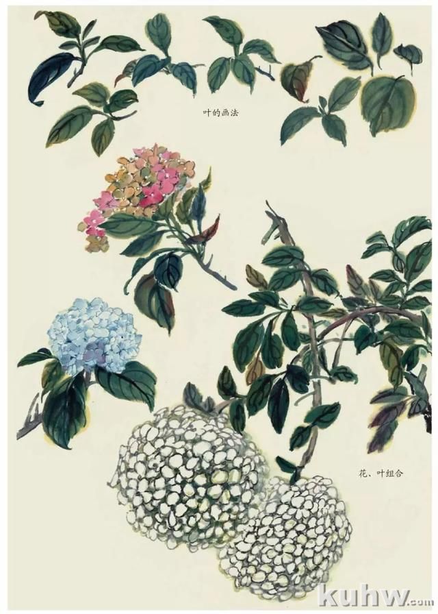 国画技法|各种花卉的写意画法