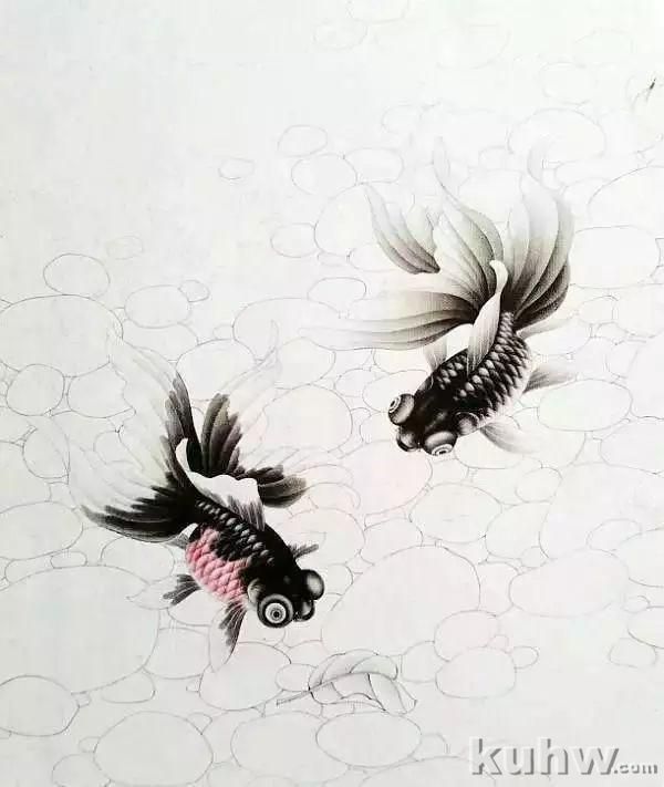 国画技法|金鱼的画法