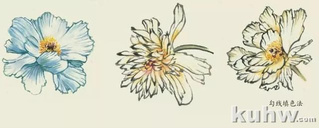 国画技法｜各种花卉的写意画法