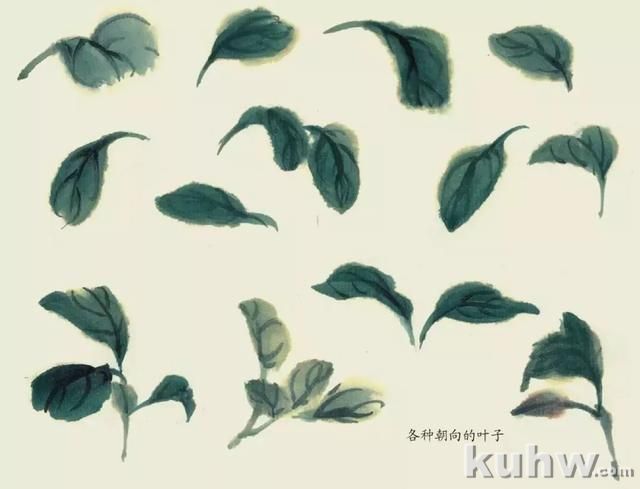 国画技法|各种花卉的写意画法