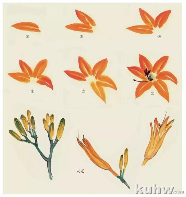 国画技法|各种花卉的写意画法