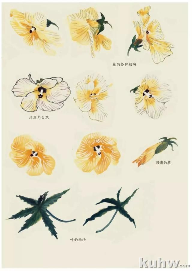 国画技法｜各种花卉的写意画法