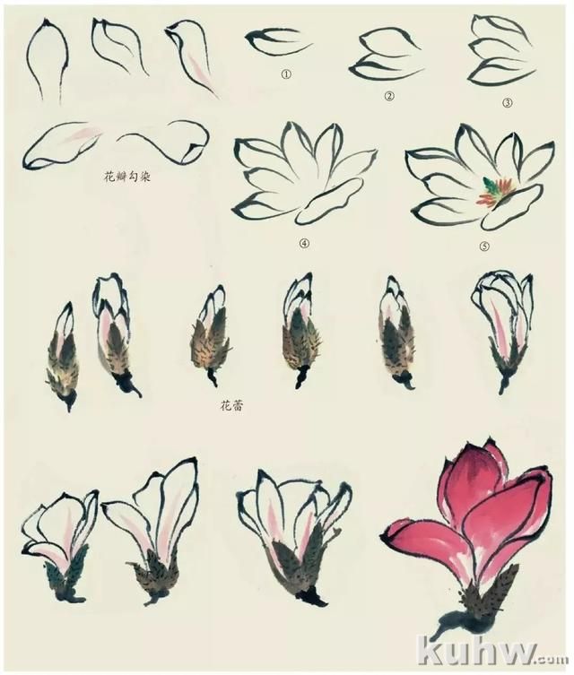 国画技法｜各种花卉的写意画法