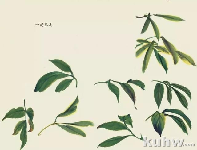 国画技法|各种花卉的写意画法