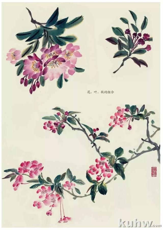 国画技法|各种花卉的写意画法