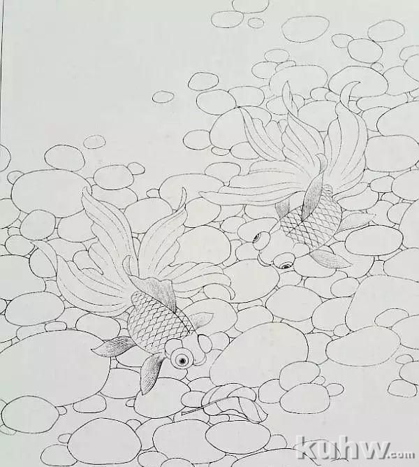 国画技法|金鱼的画法