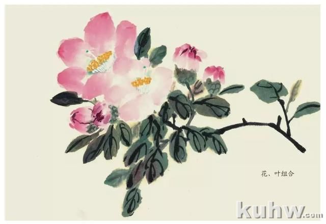 国画技法|各种花卉的写意画法