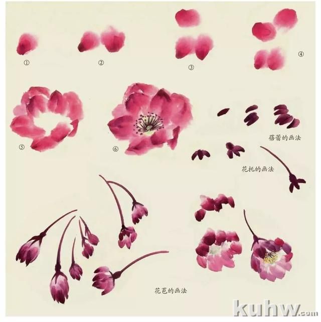 国画技法|各种花卉的写意画法