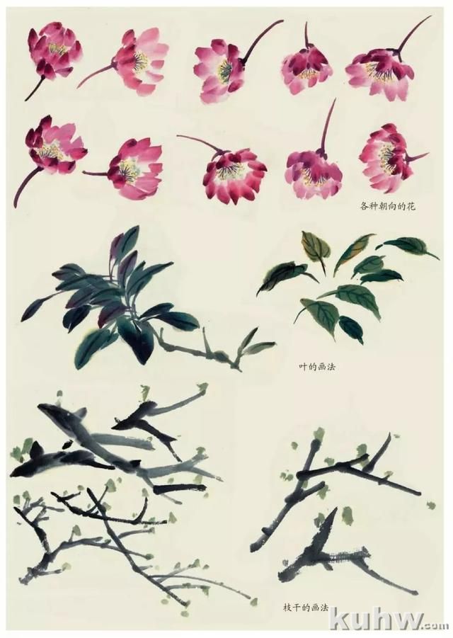 国画技法|各种花卉的写意画法
