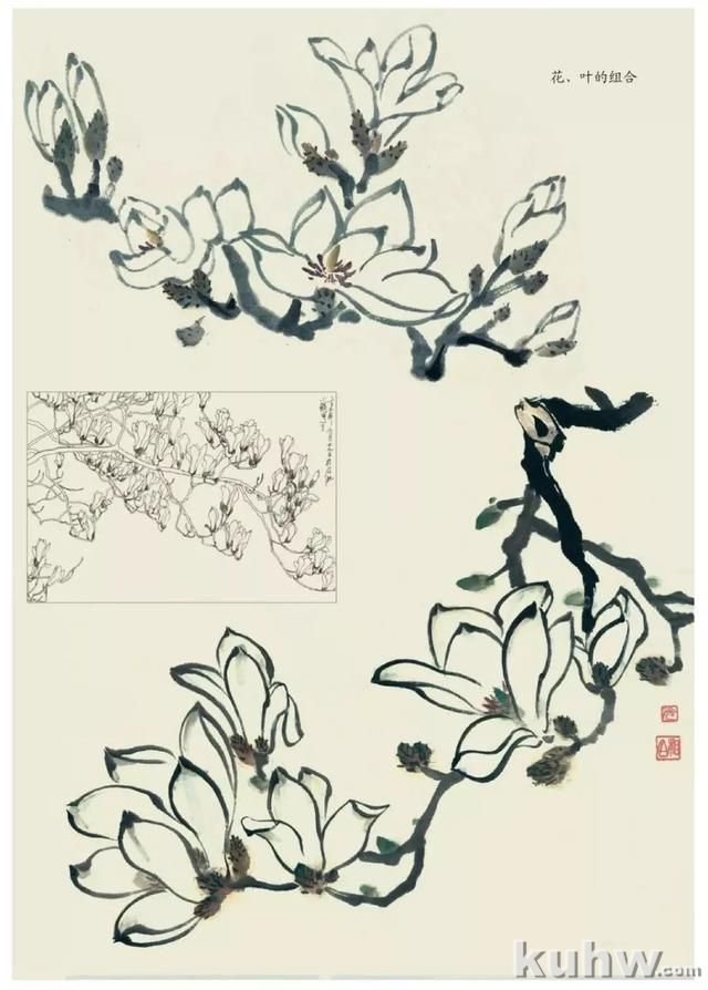 国画技法｜各种花卉的写意画法