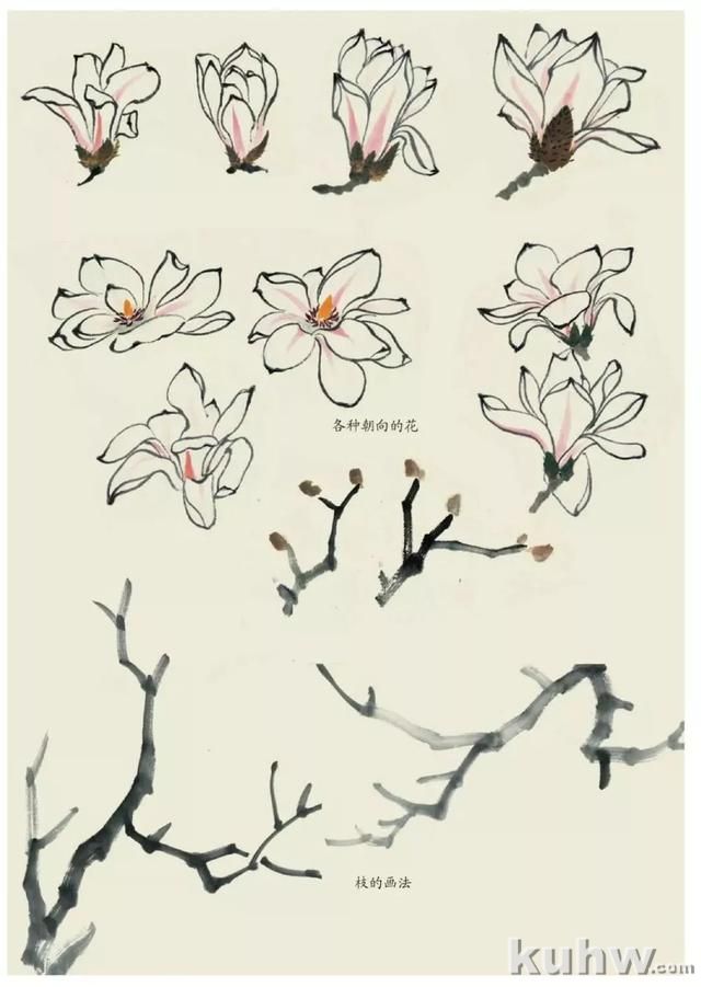 国画技法｜各种花卉的写意画法