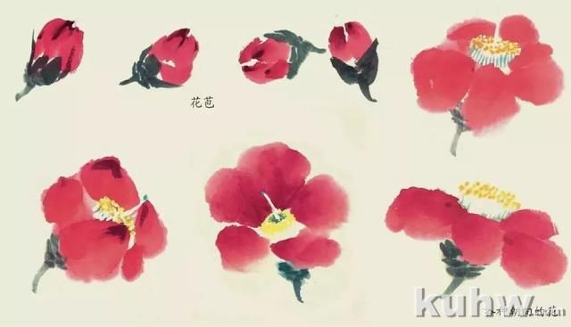国画技法|各种花卉的写意画法