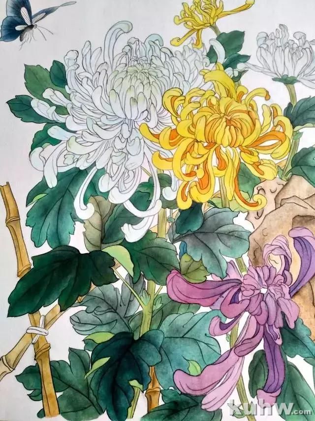 工笔画教程:菊花蓝蝶的工笔花鸟
