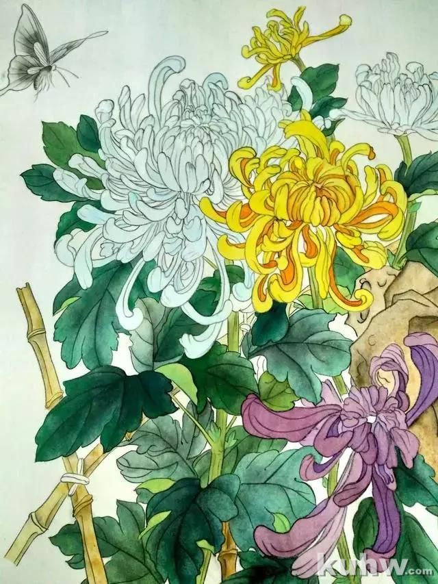 工笔画教程:菊花蓝蝶的工笔花鸟