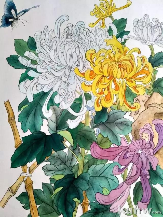 工笔画教程:菊花蓝蝶的工笔花鸟
