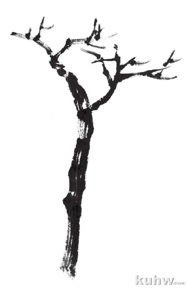 国画知识:分步骤教你画鹿角枝、蟹爪枝,简单易学,快来临摹学习