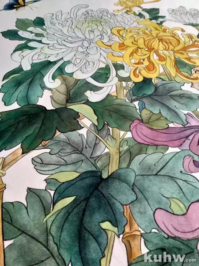 工笔画教程:菊花蓝蝶的工笔花鸟