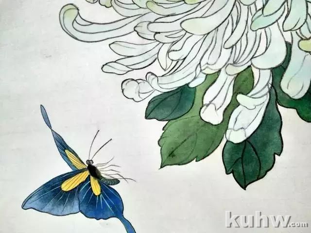 工笔画教程:菊花蓝蝶的工笔花鸟