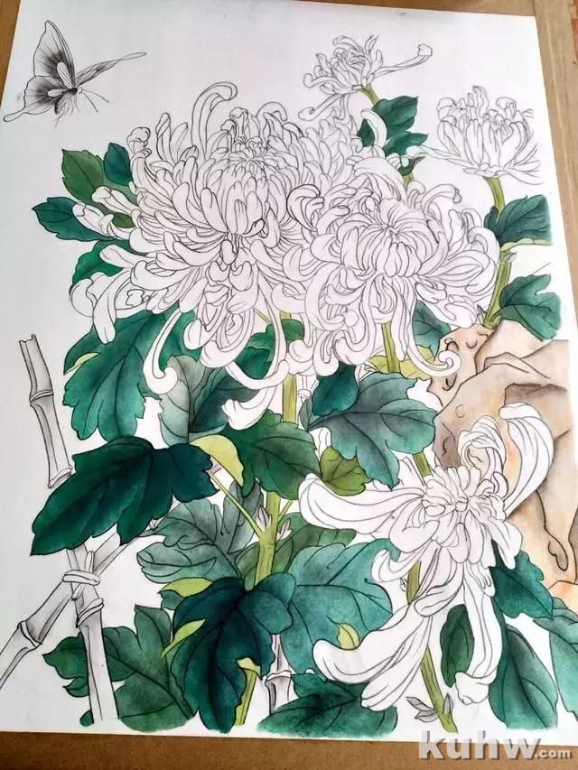 工笔画教程:菊花蓝蝶的工笔花鸟