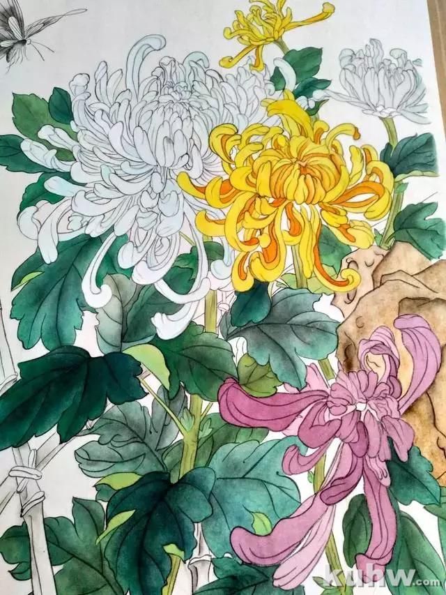 工笔画教程:菊花蓝蝶的工笔花鸟