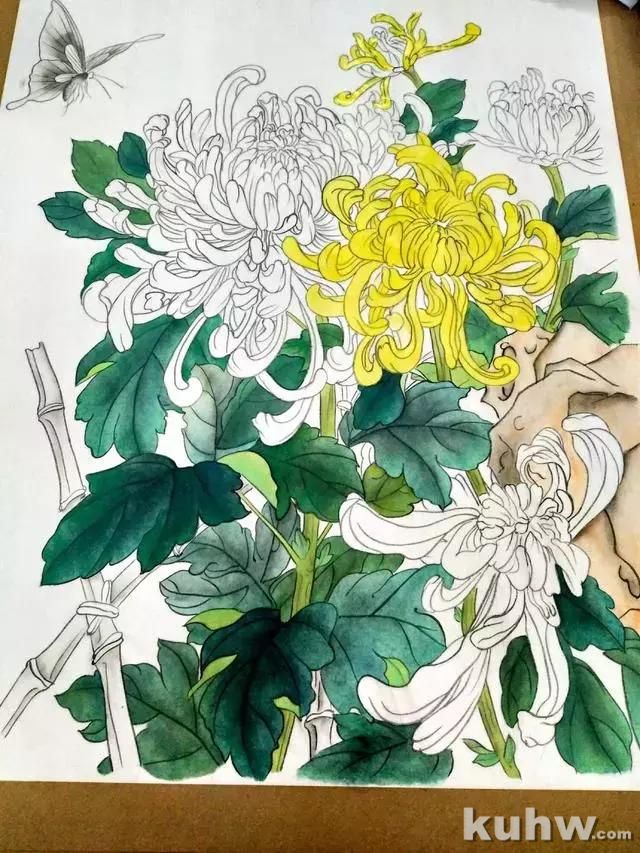 工笔画教程:菊花蓝蝶的工笔花鸟