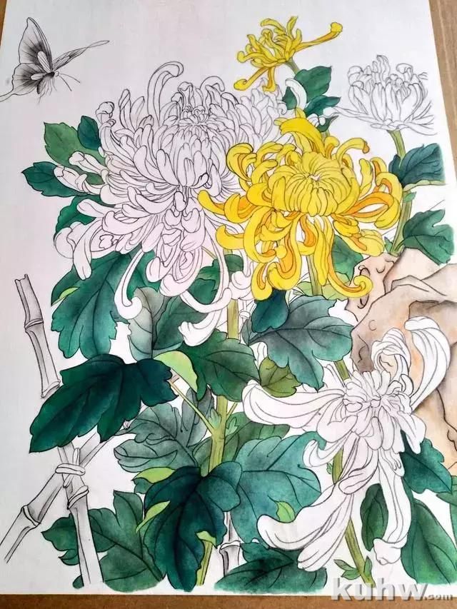 工笔画教程:菊花蓝蝶的工笔花鸟