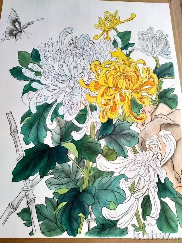 工笔画教程:菊花蓝蝶的工笔花鸟