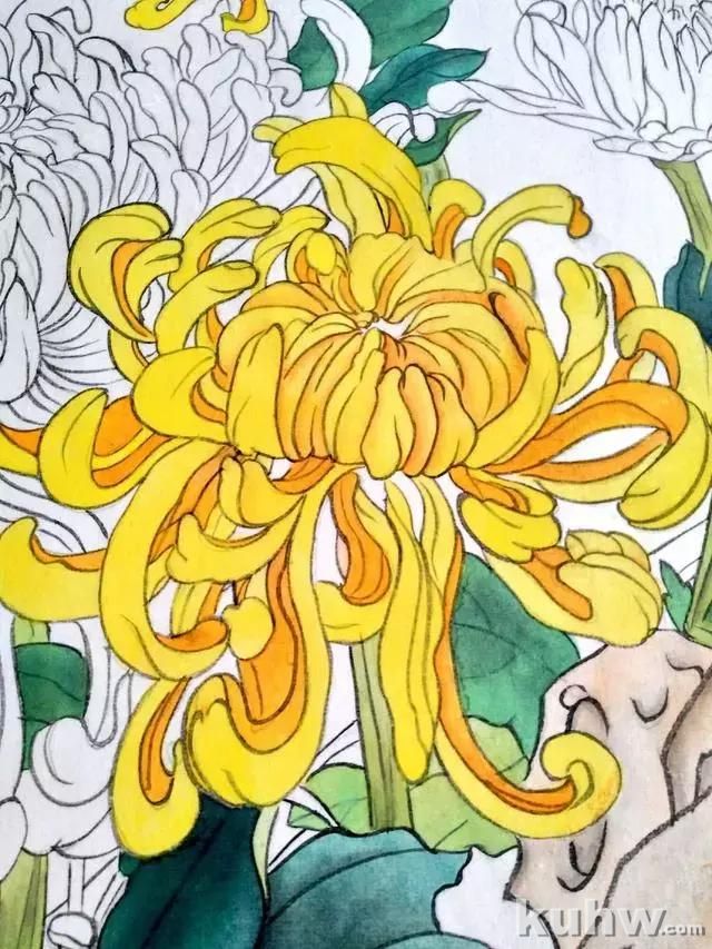 工笔画教程:菊花蓝蝶的工笔花鸟