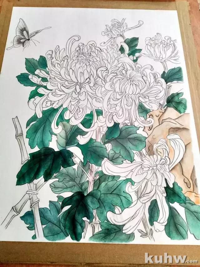 工笔画教程:菊花蓝蝶的工笔花鸟