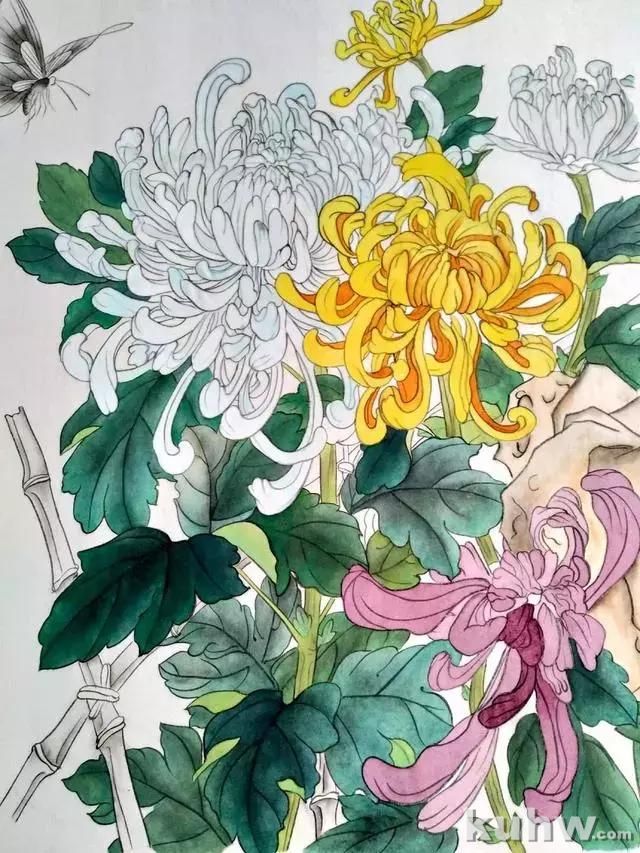 工笔画教程:菊花蓝蝶的工笔花鸟